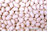 BLANCHED PEANUT KERNELS