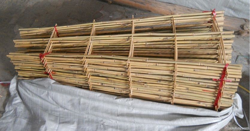 Bambo ladder / bamboo stick for clematis