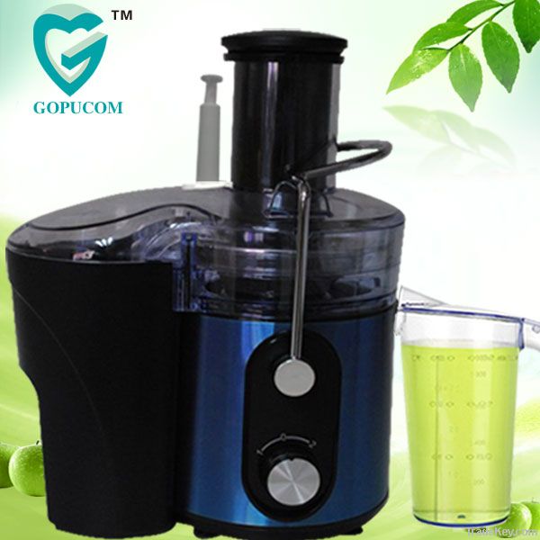 Double-layer filter the best masticating juicer