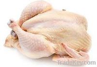 halal frozen whole chicken