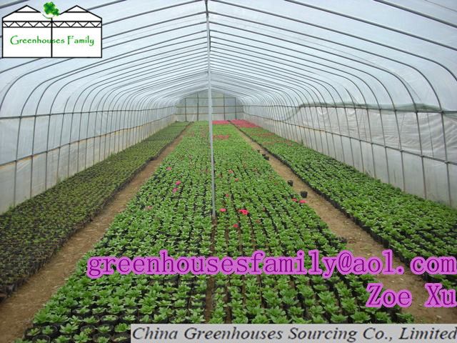 Poly Greenhouse for Sale