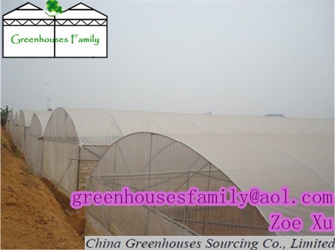 Plastic Greenhouses for Sale
