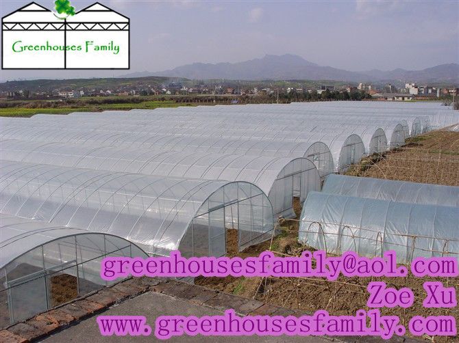 Plastic Agricultural Greenhouses from China