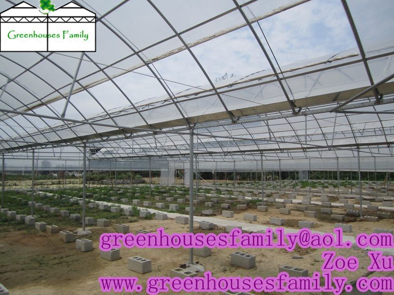 Plastic Agricultural Greenhouses from China