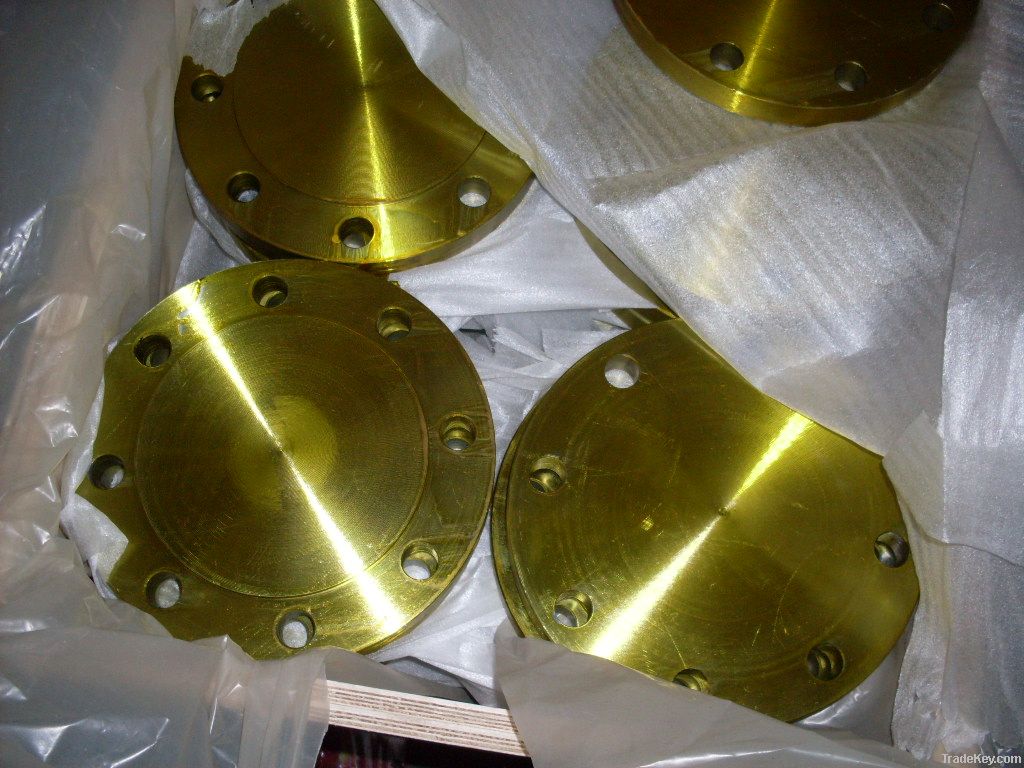 ANSI B16.5 forged flanges