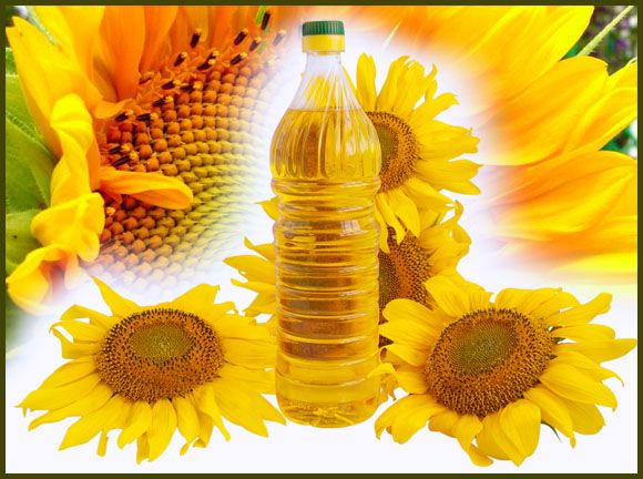 Pure Sunflower Oil 