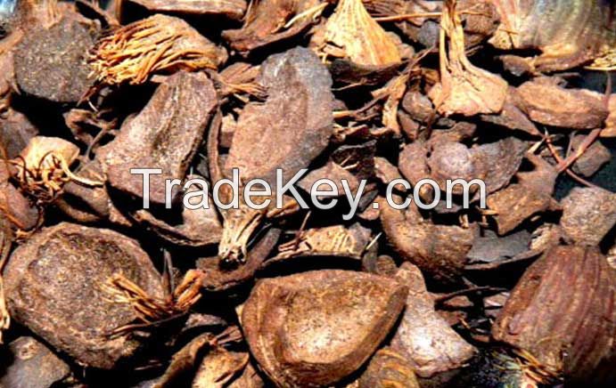 Palm Kernel Shell PKS