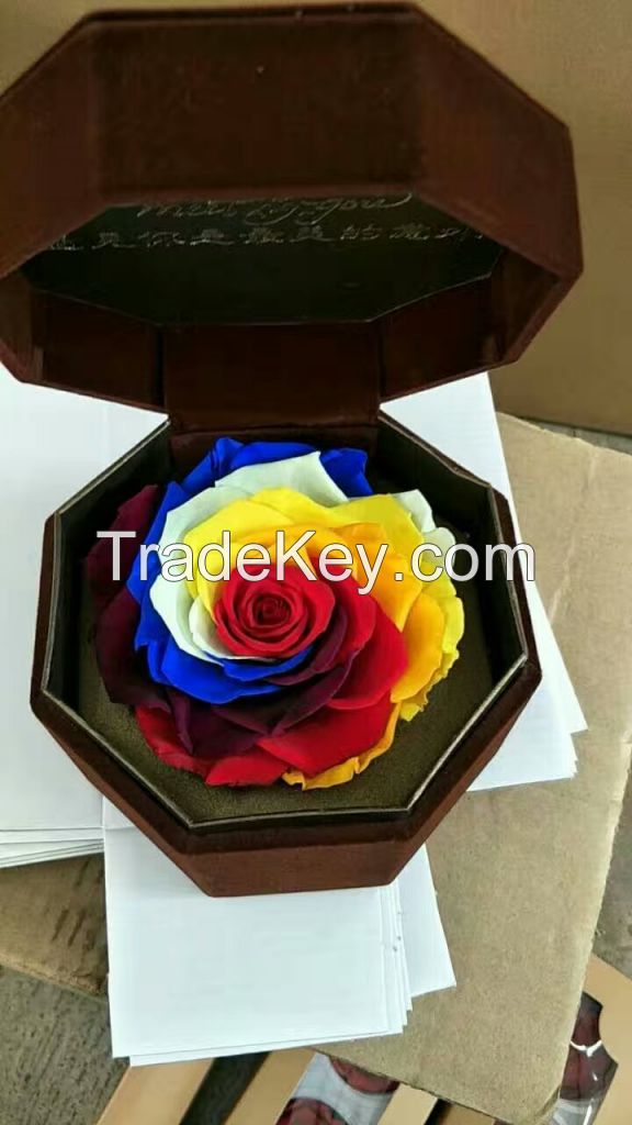 rainbow, preserved flower material,preserved everlasting rose, neverfading  fresh flower for gift and home decor