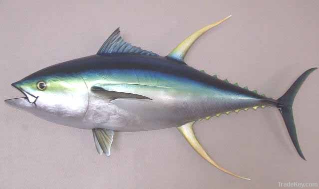 Fish Products (Tuna & Reef Fish)