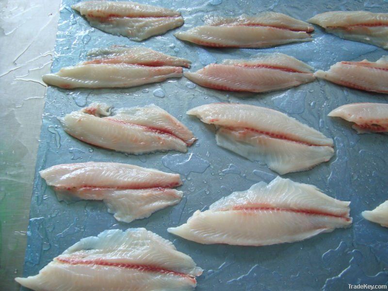 Reef Fish Fillets