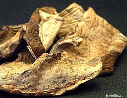 Dried Boletus Edulis