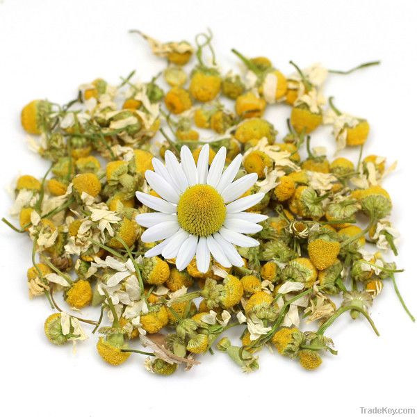 Chamomile flowers