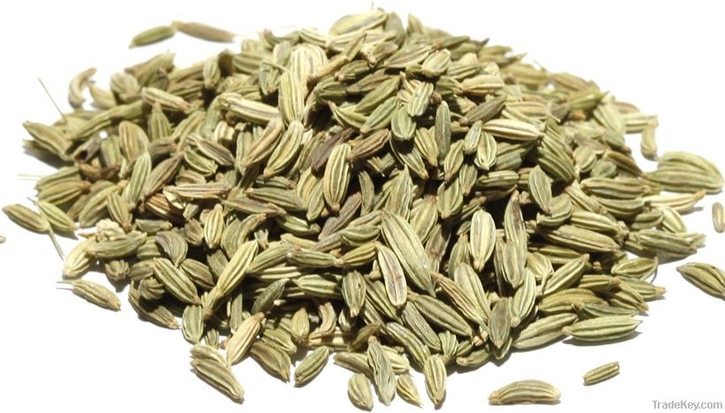 Fennel seeds