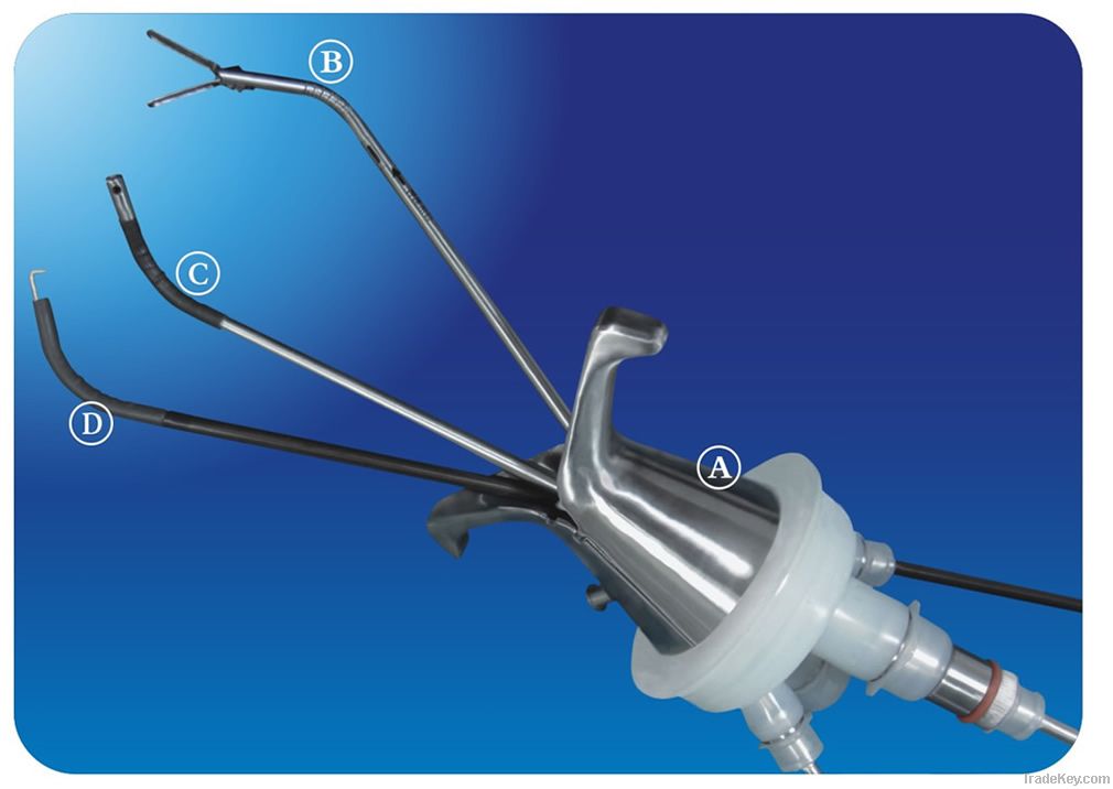 Flexible instruments for singe hole endoscope