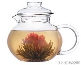 glass coffee/tea pots