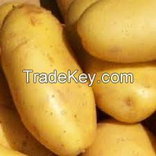 Offer To Sell Potatoes