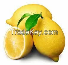 Offer To Sell Fresh Lemon