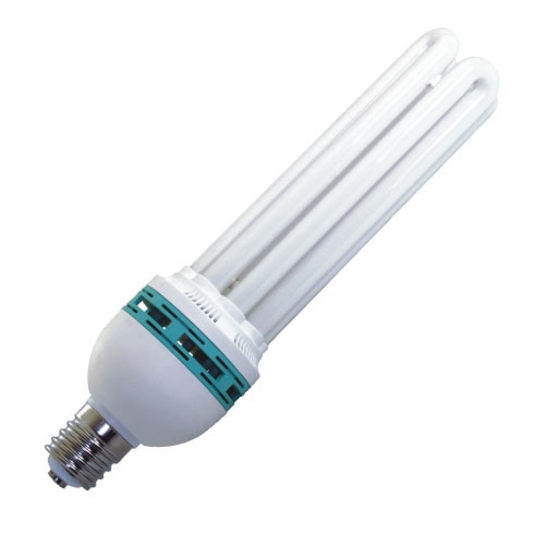 Energy saving bulb & Fluorescent