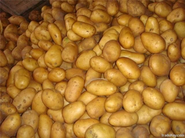 Potatoes