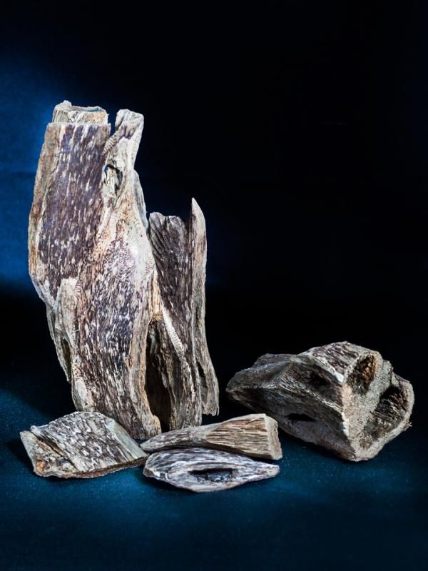 Agarwood Logs