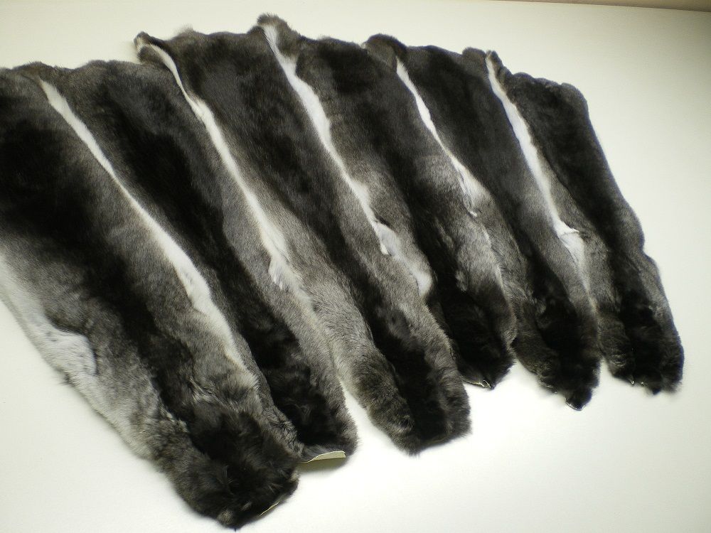 Chinchilla pelts