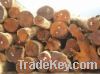Best Quality Raw Materials Natural Wood Timber Logs