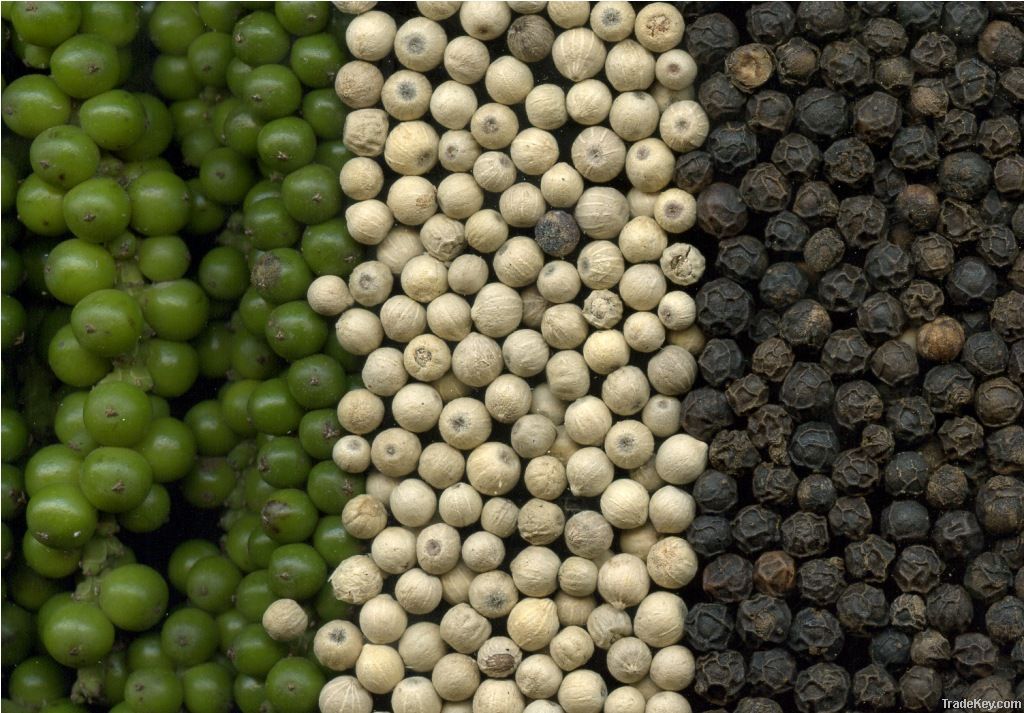 VIETNAM BLACK PEPPER 500G/L FAQ