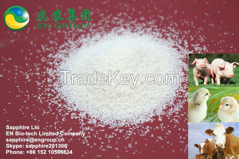 Heat stable phytase 10000U/g for Animal Feed