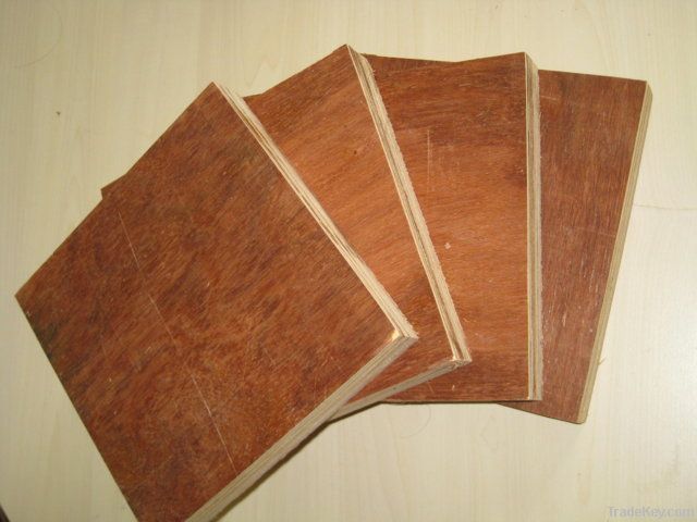 Canarium Plywood