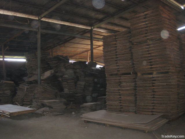 Canarium Plywood