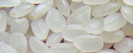 ONER - Round Grain White Rice
