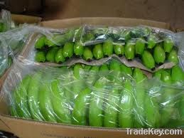 Fresh Green Cavendish Banana