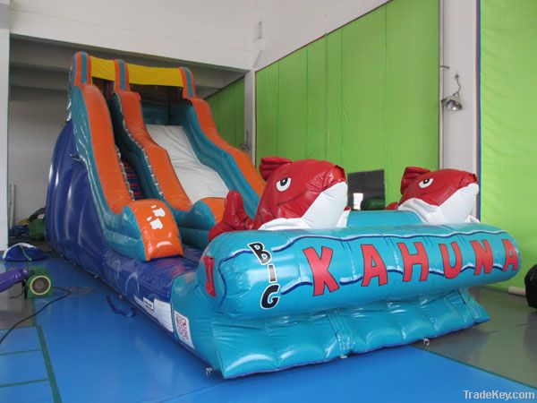 The Big Kahuna (Water Slides)