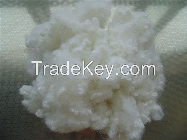 polyester fill for cushions-hollow conjugated siliconized polyester fiber