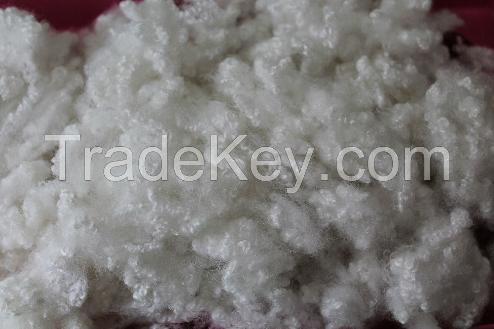 Polyester Staple Fibre- Recycled PSF/100% virgin PSF