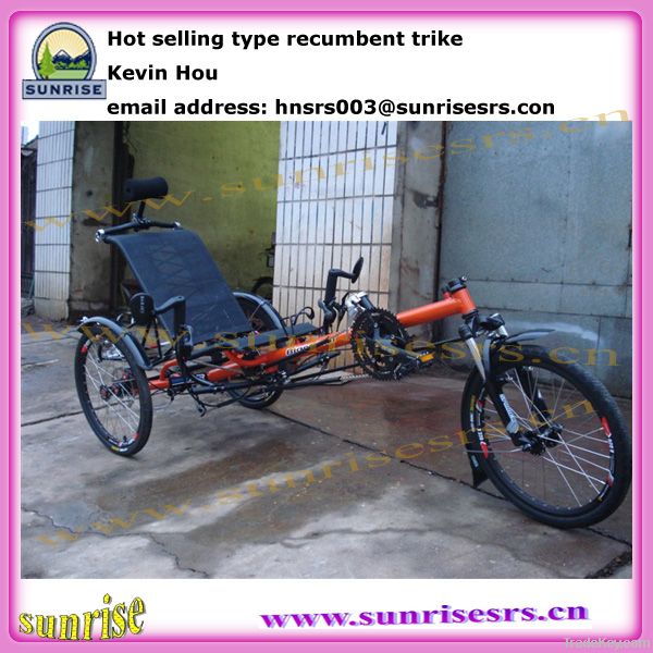recumbent delta trike tricycle