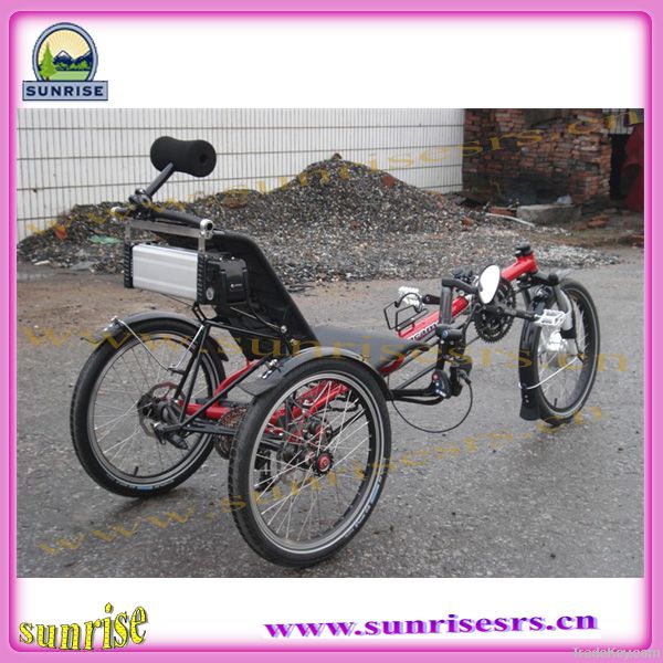 recumbent delta trike tricycle