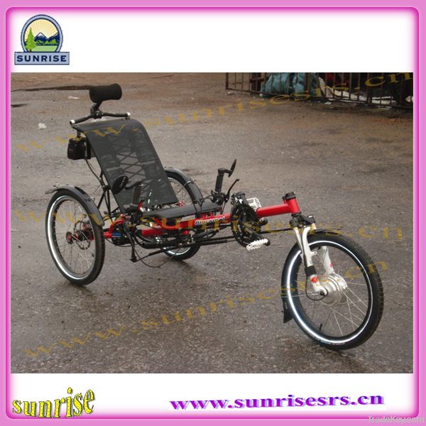 recumbent delta trike tricycle