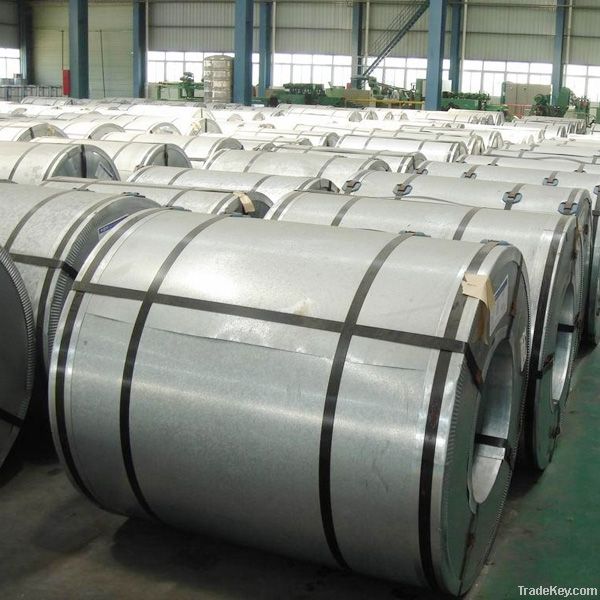 Prime Hot-dipped Galvanzied Steel Coils