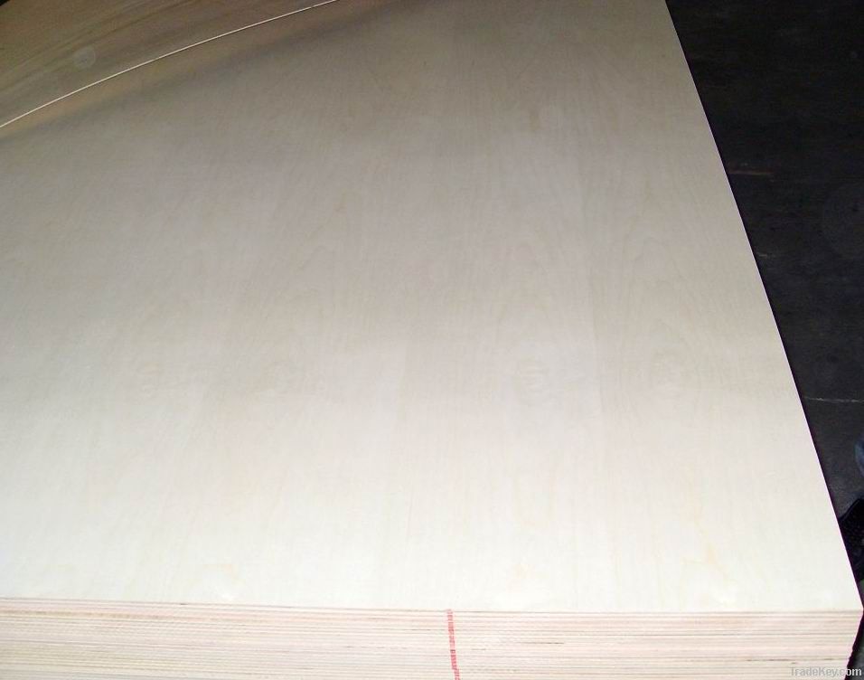 High grade birch plywood