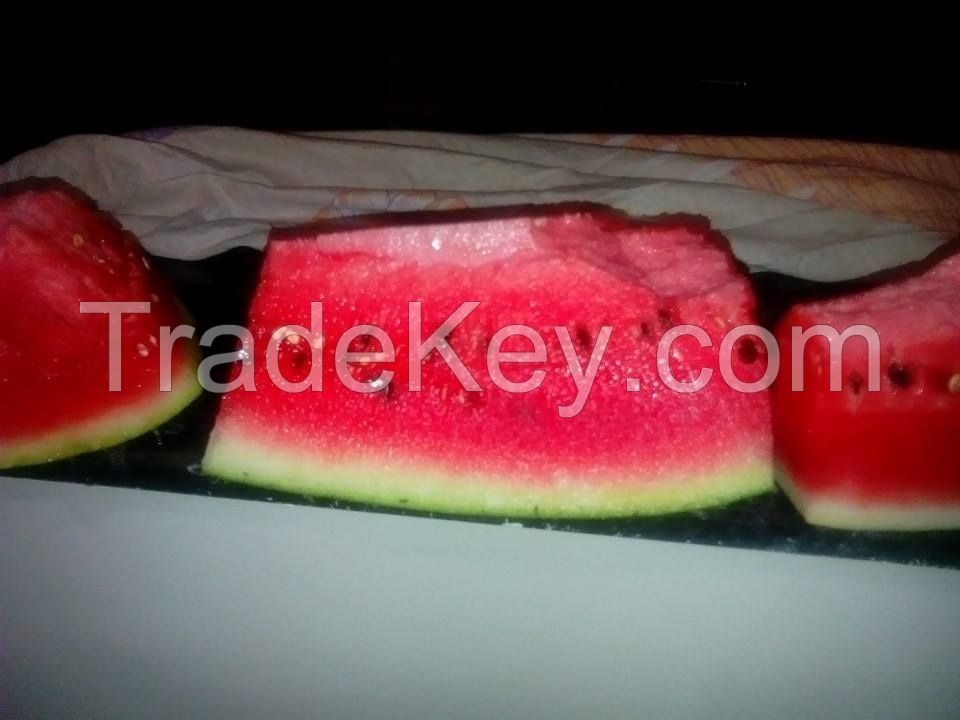 watermelon morocco