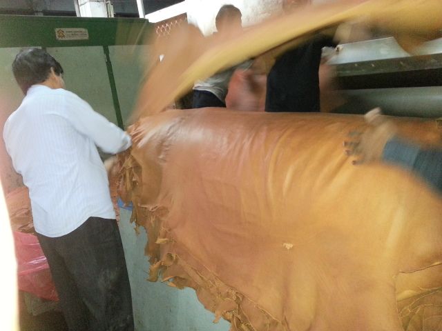 Origin Bangladesh Cow Hides