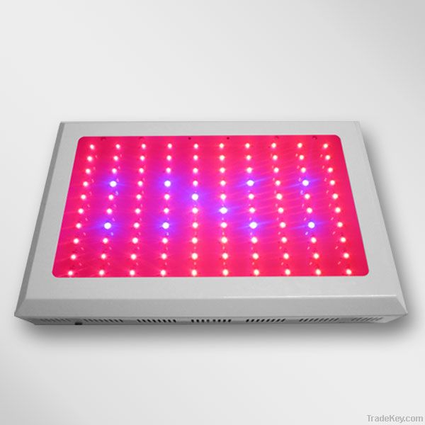 300W LED Grow Light