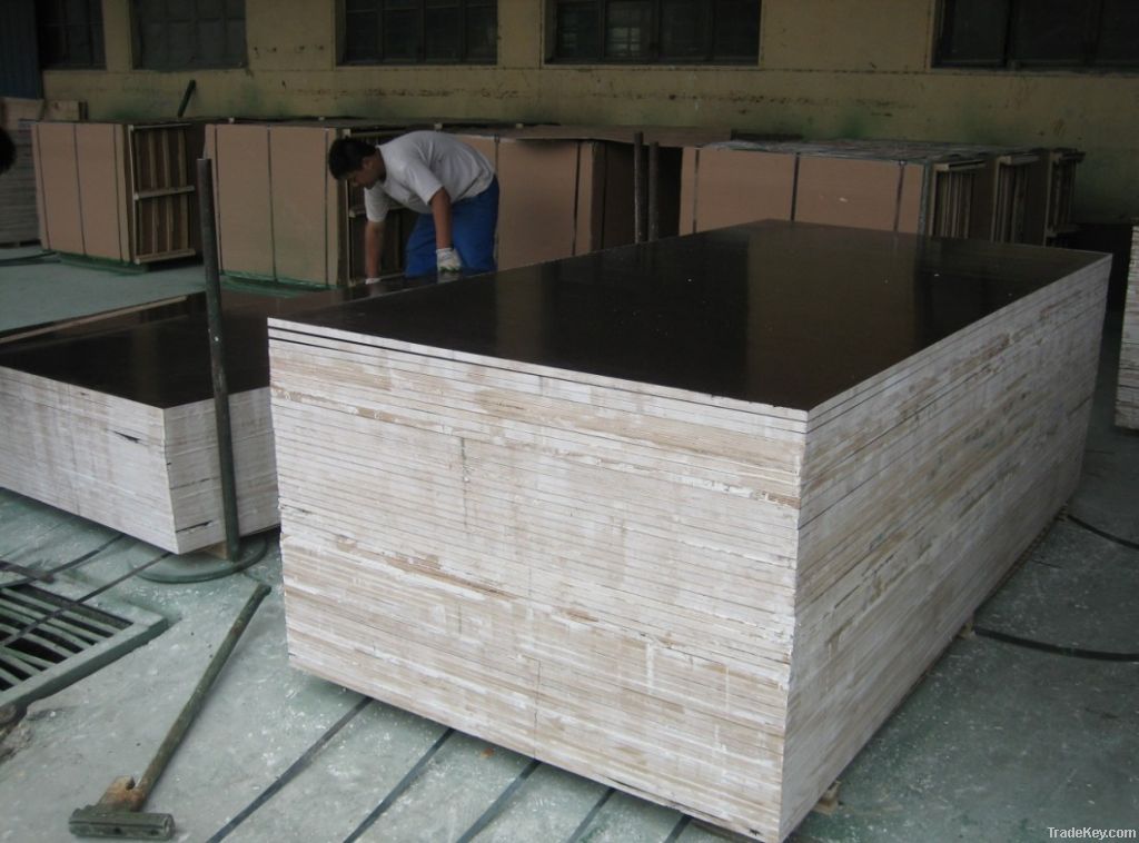 Constrution Plywood