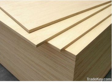 plywood with good quality and best price