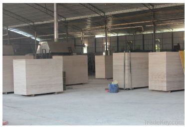 plywood with good quality and best price
