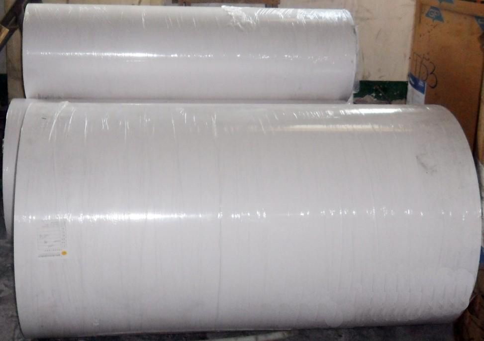 PE/PET coated paper