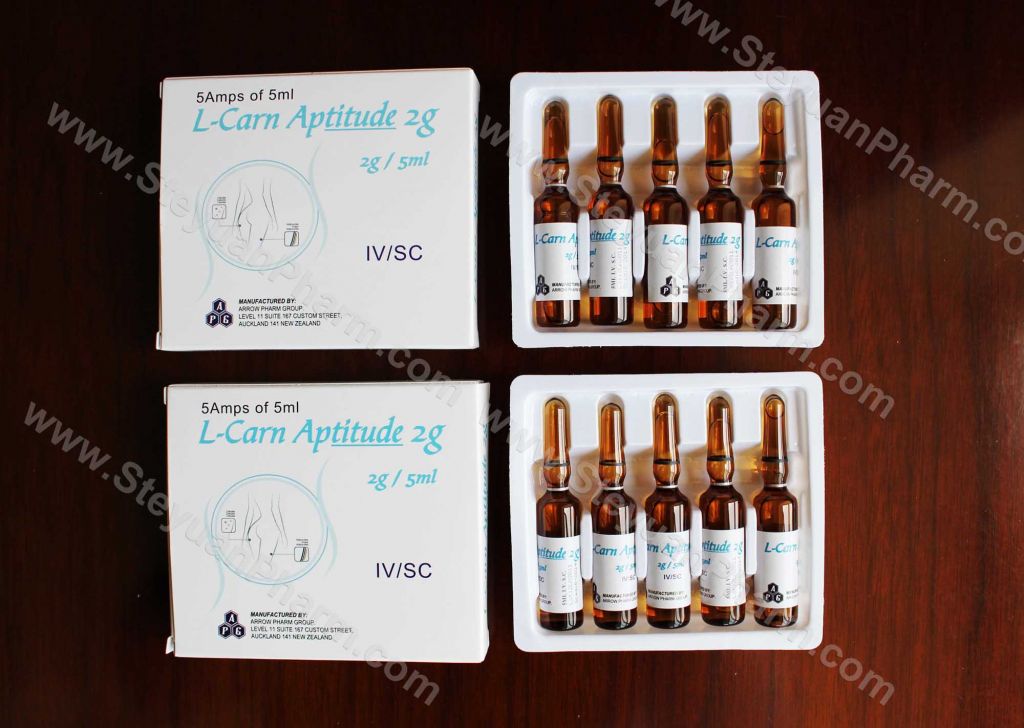Slimming injection L-carnitine 500mg, 1g, 2g