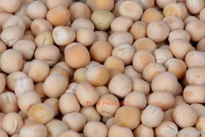 white peas