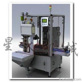 X5D Double Heads Automatic Vacuum Capping Machine